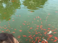 -迎泽公园