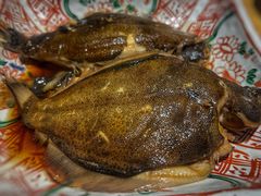 -镹·鱼料理  国产鱼使用店