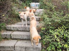 -北京凤凰岭