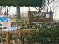 -田园东方蜜桃村的田野营地