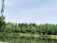 -东郊湿地公园