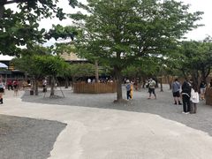 -鹿境梅花鹿生态园区