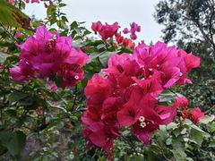 -广州莲花山旅游区