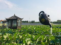 -卧龙湖