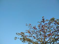 -人民广场