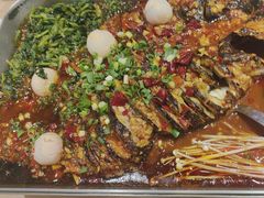 -鱼酷活鱼烤鱼(沈阳大悦城店)