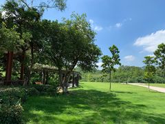 -大屏嶂森林公园