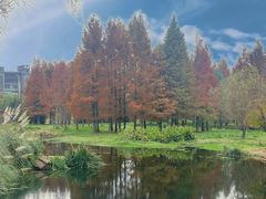 -贵阳市花溪国家城市湿地公园