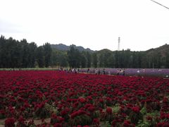 -乌龙峡谷景区