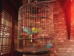 -鱼桥巷·美学川菜