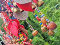 -西双版纳原始森林公园