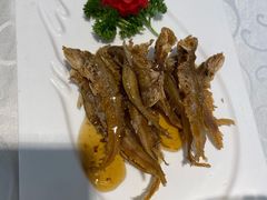 五香烤子鱼-阿英煲(凉城路店)