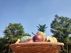 -琅岐红光湖公园