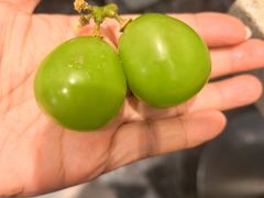 -初色海鲜自助(万丰路店)