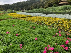 -广州市石门国家森林公园