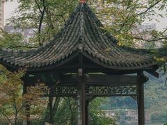 -重庆彩云湖湿地公园