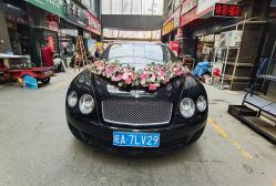 -蚂蚁婚车