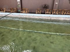 -光头佬室内钓虾场·烧烤·团建·亲子(中山八路店)