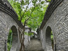 -朴园
