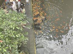 -海南槟榔谷黎苗文化旅游区