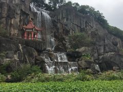 -金鸡山公园