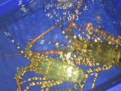 -幸福姐海鲜大排档