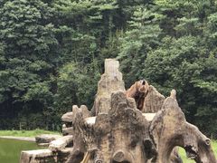 -杭州野生动物世界