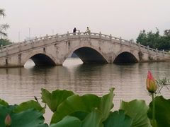 -飞来湖湿地公园