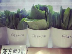 -串一火锅(赛格国际购物中心店)