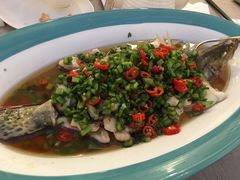 鲑鱼-尚一汤·粤菜海鲜(环球港店)