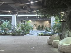 -林栖谷森林康养度假区