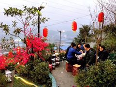 -伴山茶苑·围炉煮茶