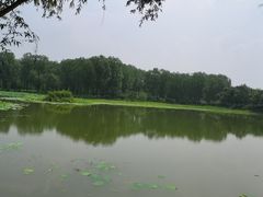 -东郊湿地公园