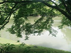 -京都御所