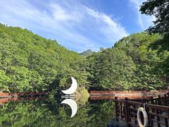 -洛阳白云山景区