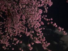 -小厨子私房菜·云南美食店
