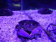 -太平洋海底世界