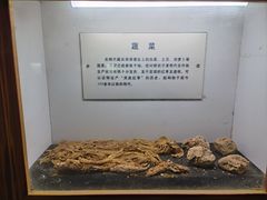 -水洞沟旅游区