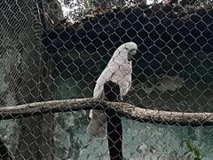 -杭州动物园
