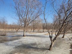 -永定河休闲森林公园