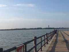 -江苏省泗阳县成子湖旅游度假区综合服务中心-停车场