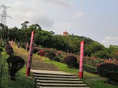 -紫马岭游泳馆