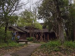 -西溪国家湿地公园