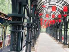 -合肥滨湖国家森林公园