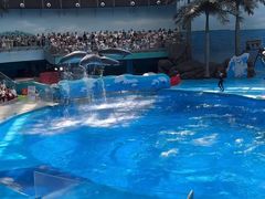 -海合安成都极地海洋公园