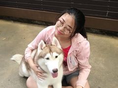 -TrueLove @ Neverland (Husky Cafe)