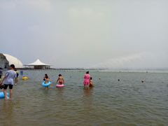 -碧海金沙