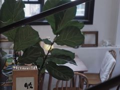 -知亘茶食