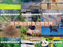 -泉州海丝野生动物世界