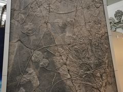 景点-中国地质大学逸夫博物馆